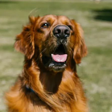 Casa Hortensias 2 Pendueles At-1557-as